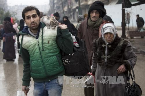 UN-Sicherheitsrat will die Tragödie in Aleppo beenden - ảnh 1